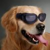 Pet Goggles Dog UV Protection Glasses Waterproof Windproof Anti-Fog Eye Glasses